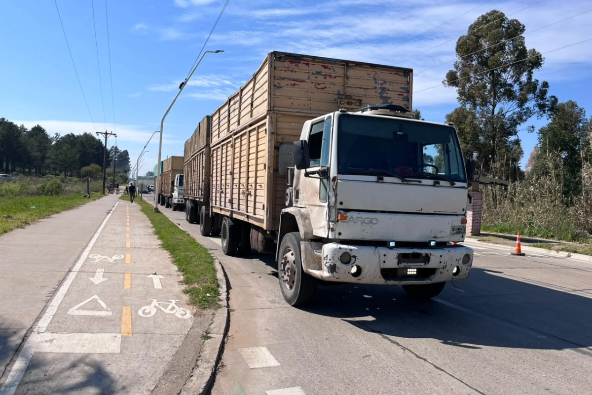 El conductor del cami&oacute;n cont&oacute; c&oacute;mo sucedi&oacute; el siniestro.