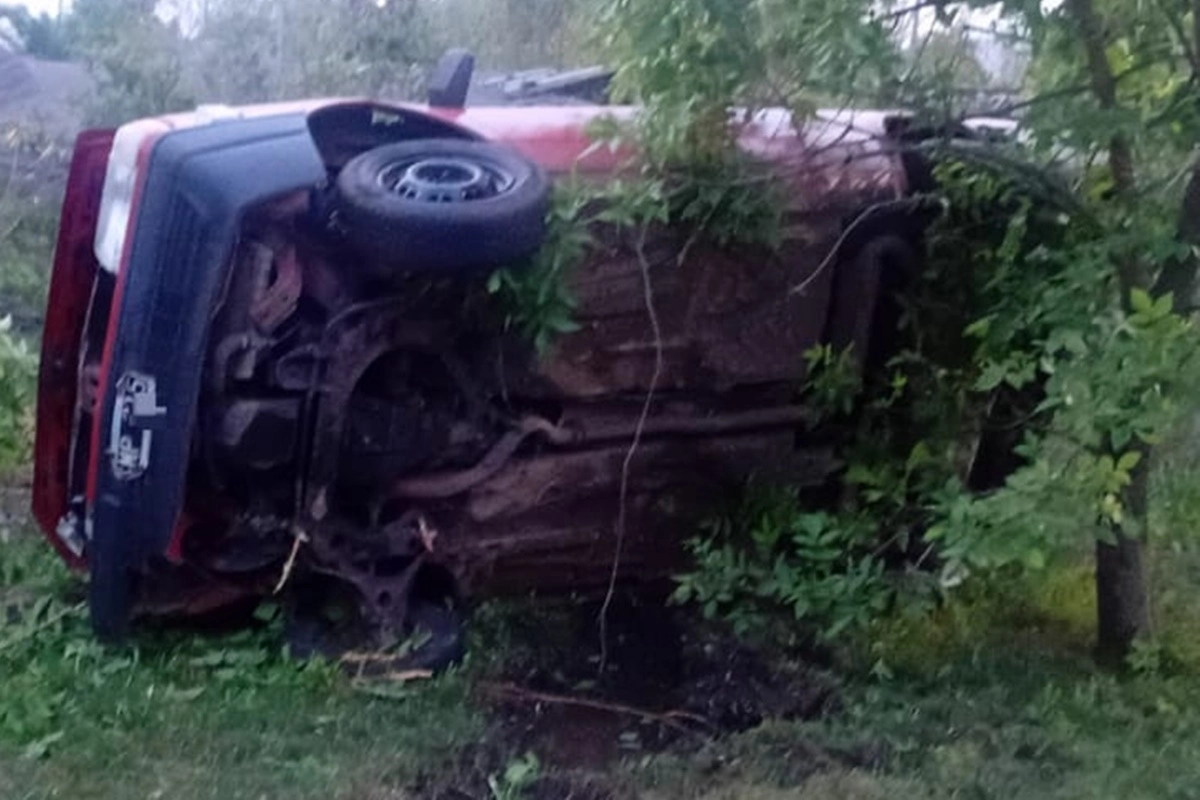 La camioneta impact&oacute; contra un &aacute;rbol y parte del cerramiento perimetral de una propiedad.