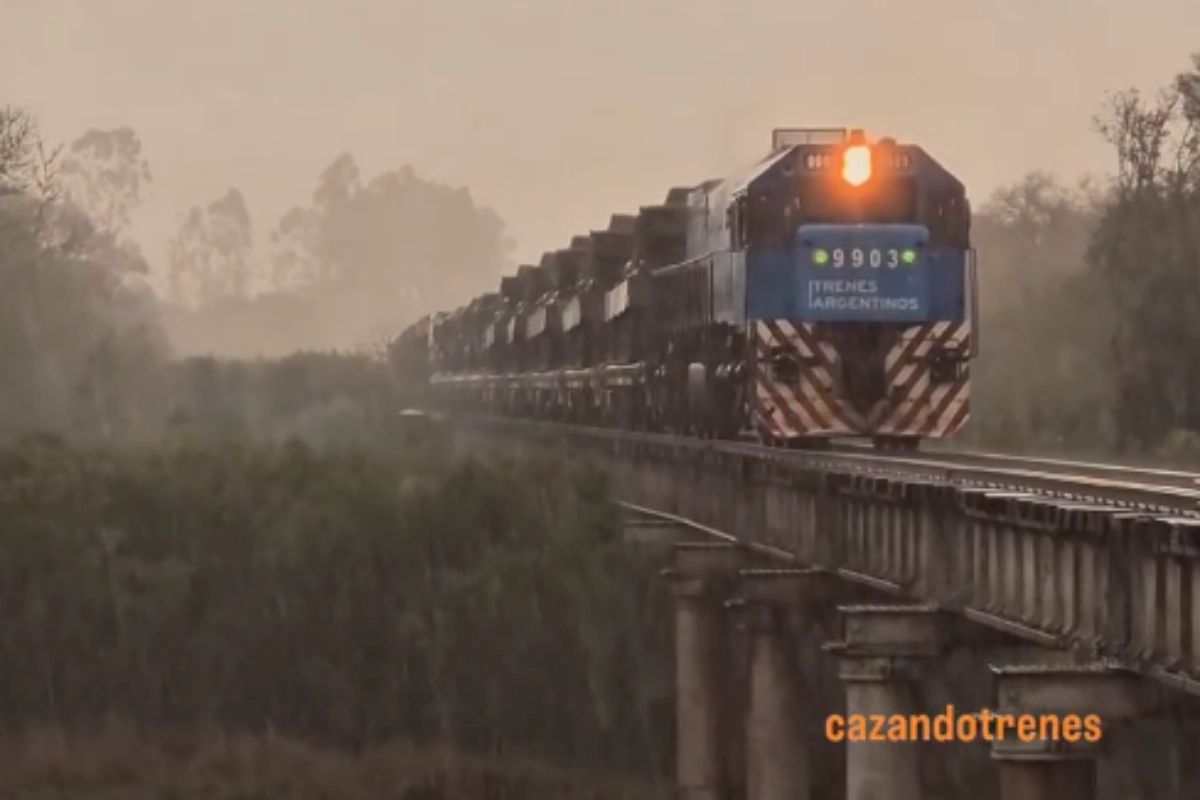 La imagen del tren arribando a la ciudad.