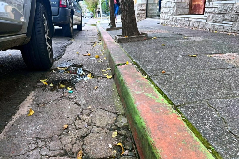 Varios cordones verdes comienzan a perder su color en la zona del estacionamiento medido