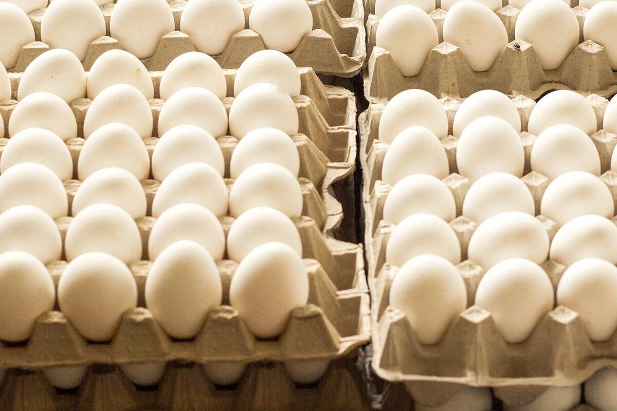 En el pa&iacute;s se consumen cerca de 440 huevos per c&aacute;pita.