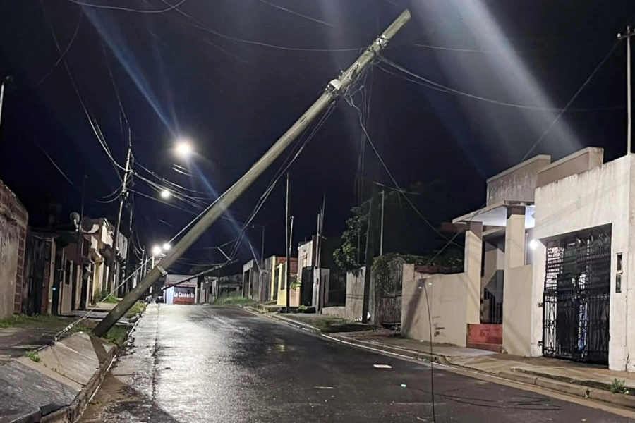Una importante cantidad de postes ca&iacute;dos y cables cortados.