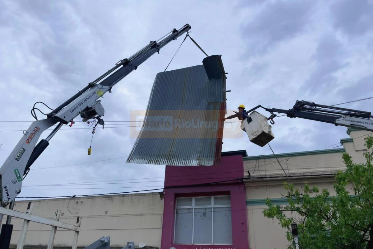 Dos gr&uacute;as trabajan para retirar la estructura de entre los cables.