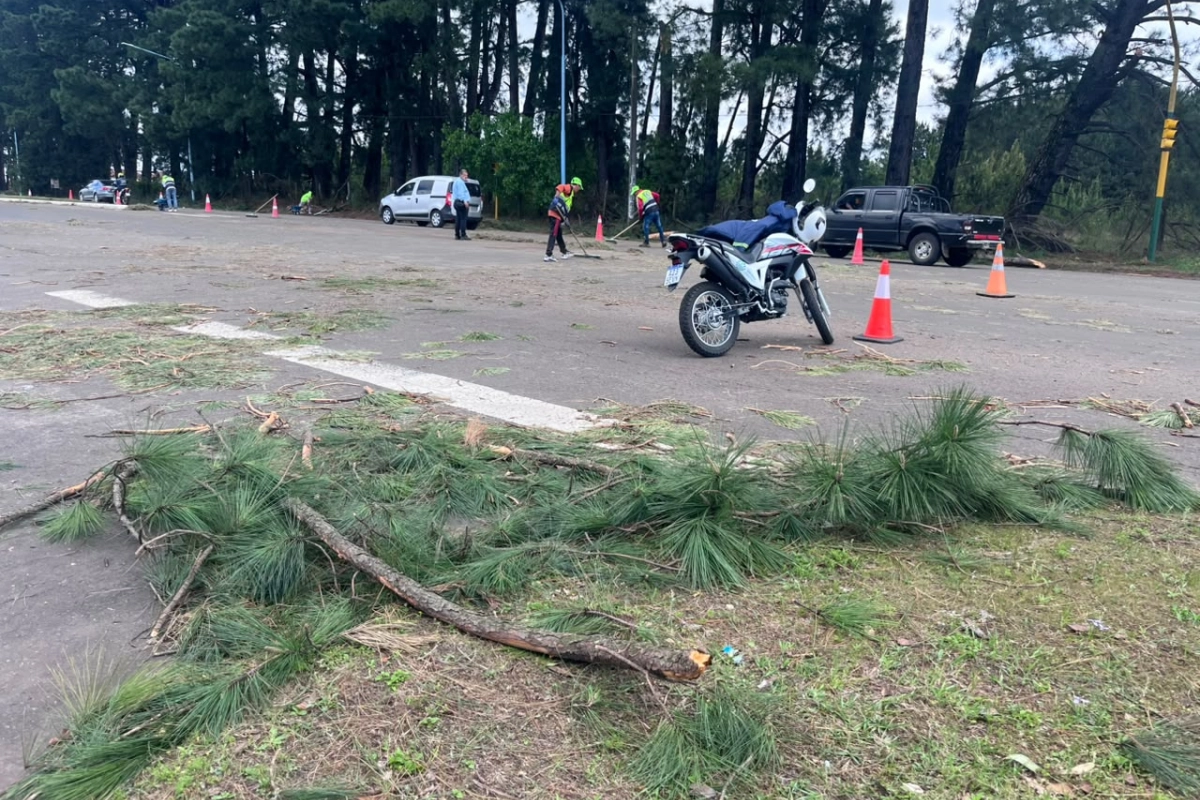 Tr&aacute;nsito asistido en Villa Adela.