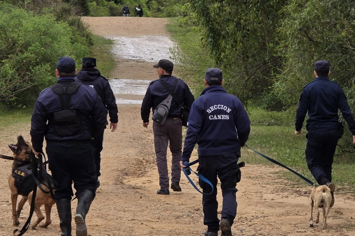 El operativo se llev&oacute; a cabo en la zona de San Carlos.