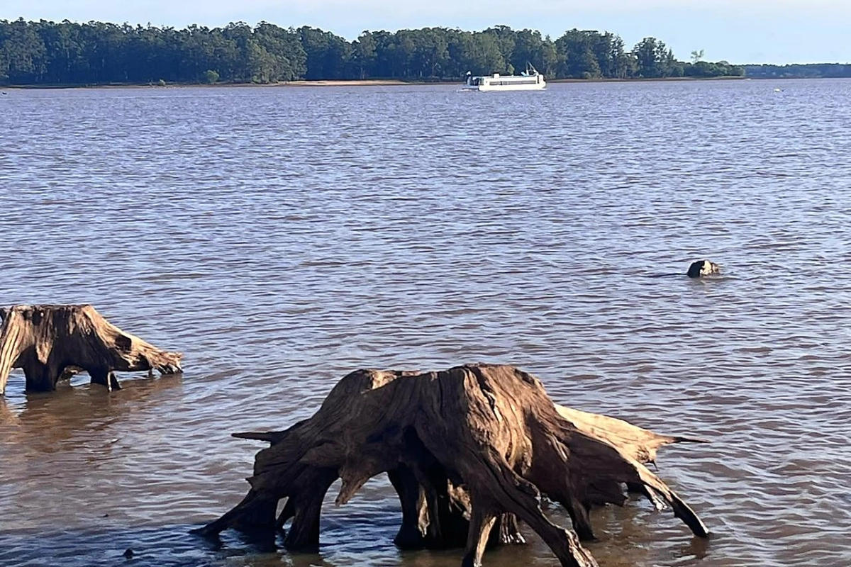 El informe se&ntilde;ala que el lago seguir&aacute; reteniendo parte de ese volumen de agua que llega del norte.