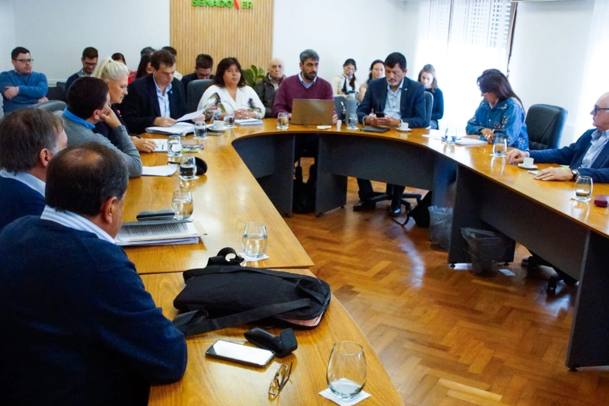 El proyecto de ley ingresar&aacute; en la pr&oacute;xima sesi&oacute;n del Senado.